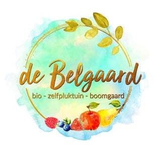 bedrijfslogo